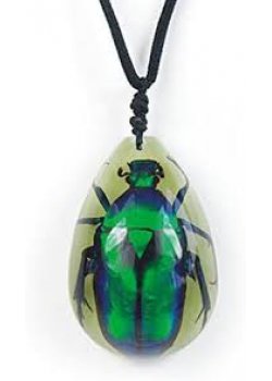 Small Beetle Necklace